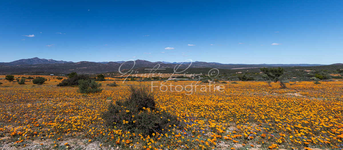 Namaqua Nationalpark