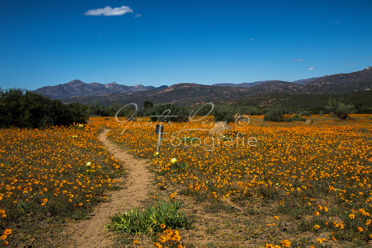 Namaqua Nationalpark