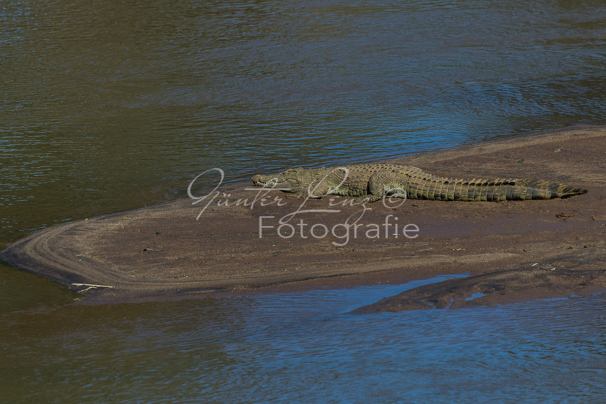 Limpopo, Südafrika
