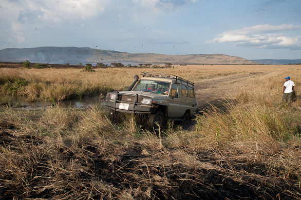 Serengeti Nationalpark, Tansania