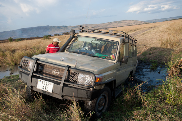 Serengeti Nationalpark, Tansania