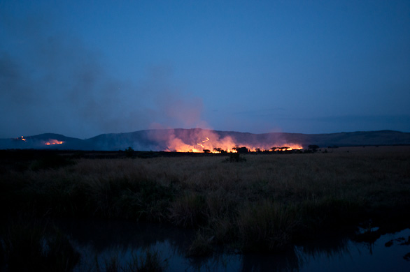 Serengeti Nationalpark, Tansania