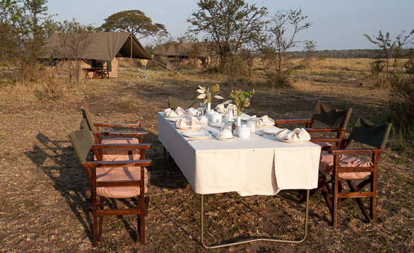 Serengeti Nationalpark, Tansania