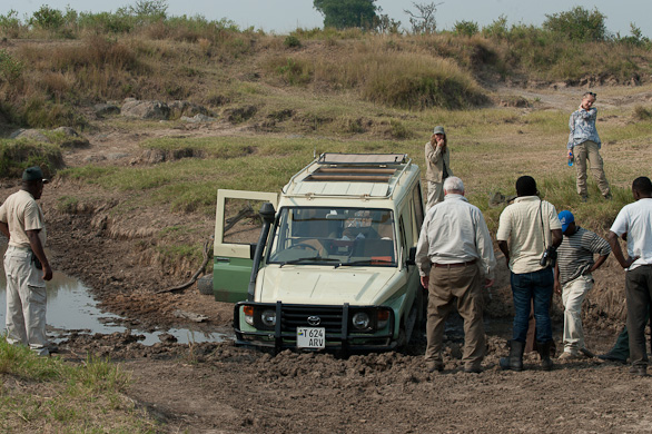 Serengeti Nationalpark, Tansania