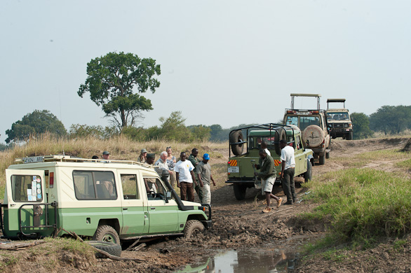 Serengeti Nationalpark, Tansania