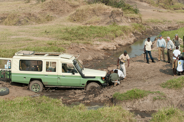 Serengeti Nationalpark, Tansania