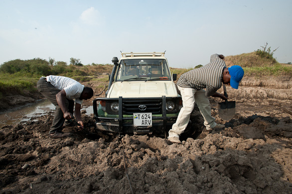 Serengeti Nationalpark, Tansania