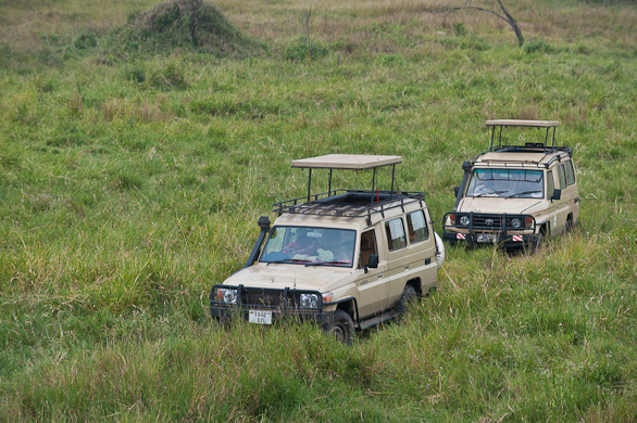 Serengeti Nationalpark, Tansania