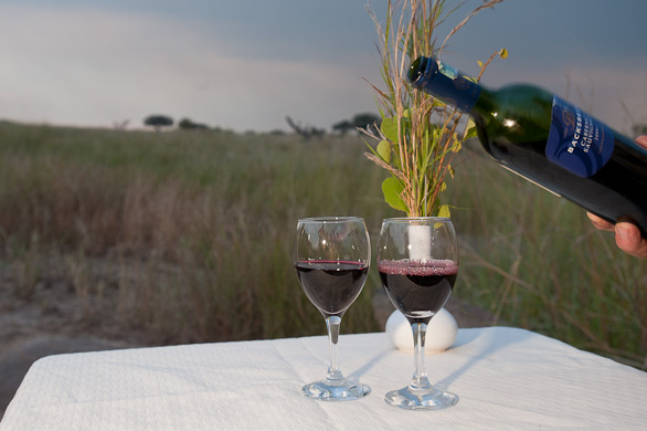 Serengeti Nationalpark, Tansania