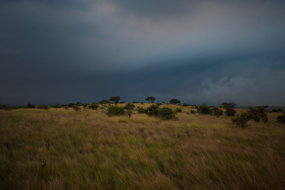 Serengeti Nationalpark, Tansania