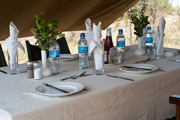 Serengeti Nationalpark, Tansania