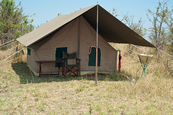 Serengeti Nationalpark, Tansania