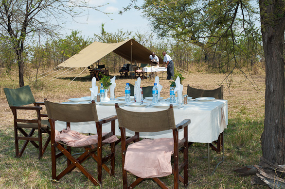 Serengeti Nationalpark, Tansania