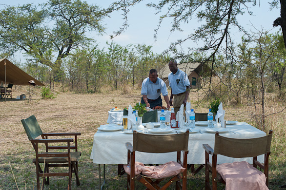 Serengeti Nationalpark, Tansania