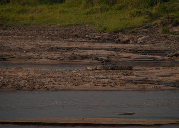 Serengeti Nationalpark, Tansania