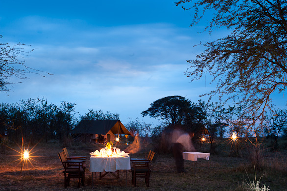 Serengeti Nationalpark, Tansania