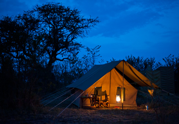 Serengeti Nationalpark, Tansania