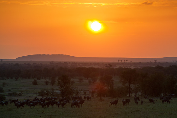 Serengeti Nationalpark, Tansania