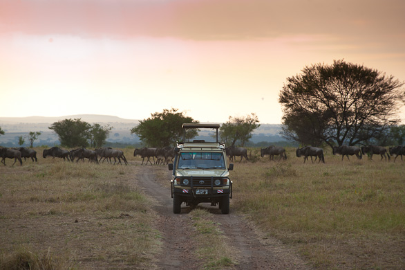 Serengeti Nationalpark, Tansania