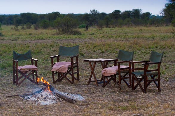 Serengeti Nationalpark, Tansania