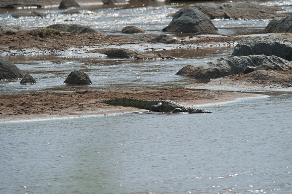 Serengeti Nationalpark, Tansania