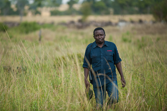 Serengeti Nationalpark, Tansania