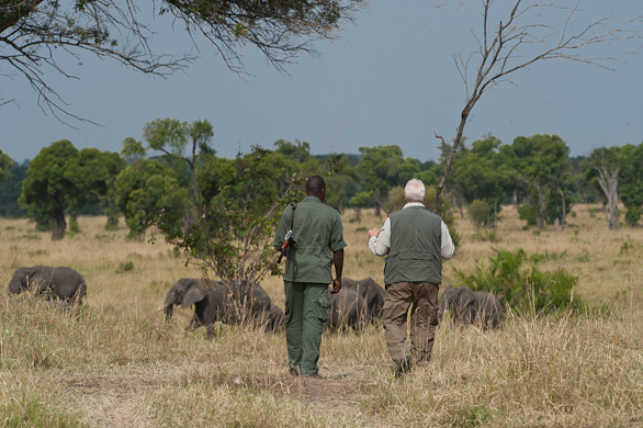 Serengeti Nationalpark, Tansania