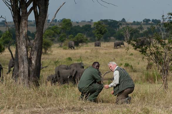 Serengeti Nationalpark, Tansania
