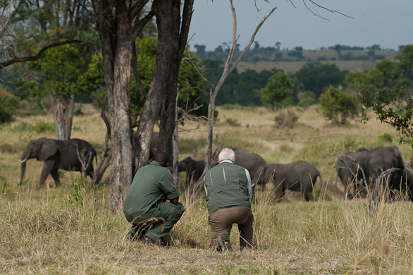 Serengeti Nationalpark, Tansania