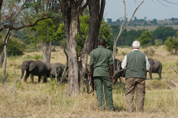 Serengeti Nationalpark, Tansania