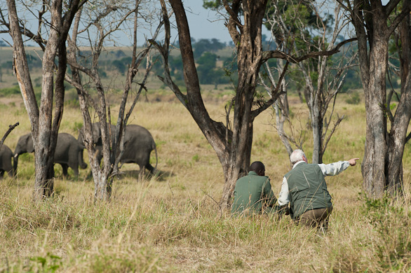 Serengeti Nationalpark, Tansania