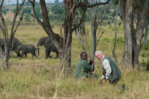 Serengeti Nationalpark, Tansania