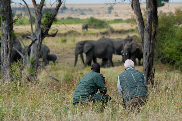 Serengeti Nationalpark, Tansania