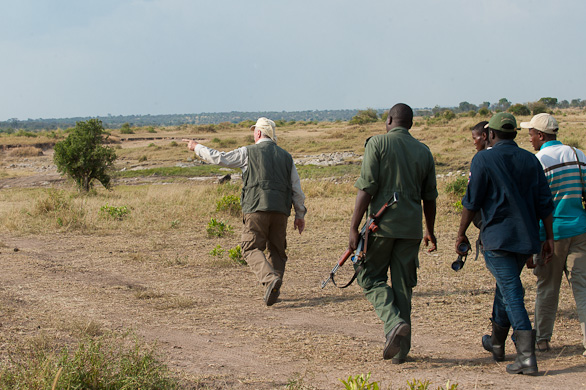 Serengeti Nationalpark, Tansania