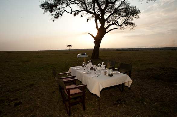 Serengeti Nationalpark, Tansania