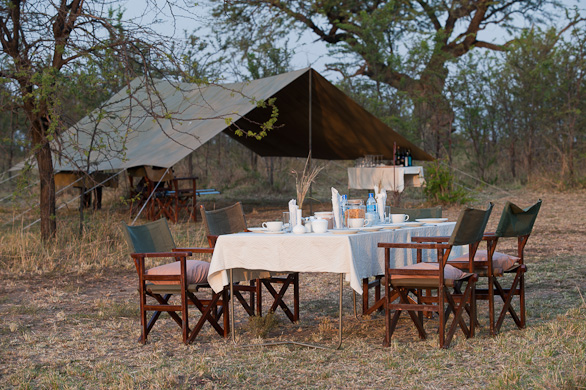 Serengeti Nationalpark, Tansania