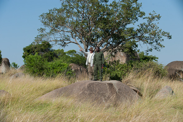 Serengeti Nationalpark, Tansania