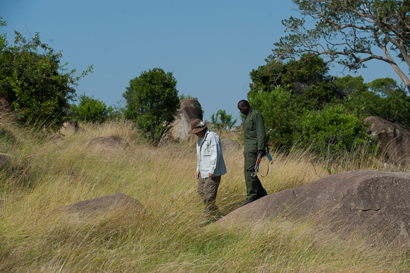 Serengeti Nationalpark, Tansania