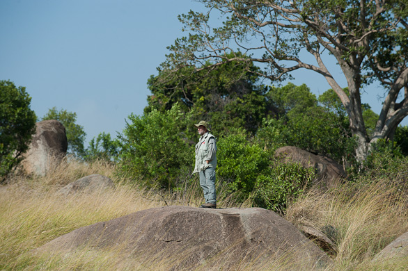 Serengeti Nationalpark, Tansania