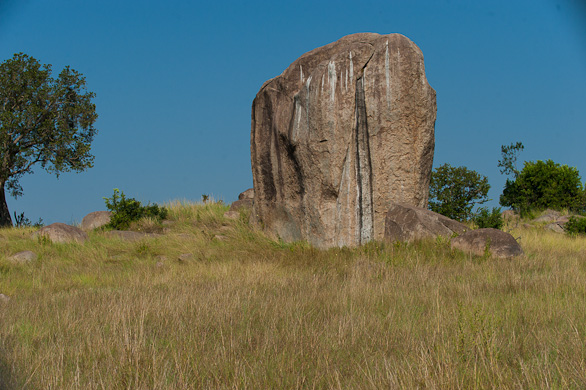 Serengeti Nationalpark, Tansania
