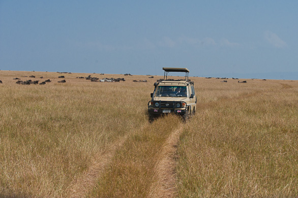 Serengeti Nationalpark, Tansania