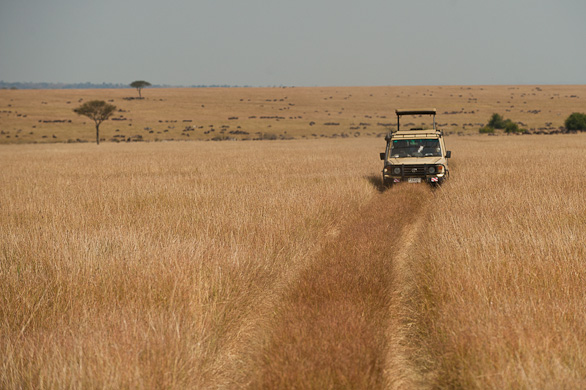 Serengeti Nationalpark, Tansania