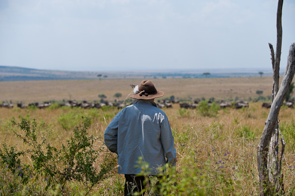 Serengeti Nationalpark, Tansania