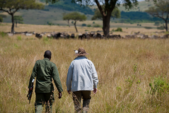 Serengeti Nationalpark, Tansania