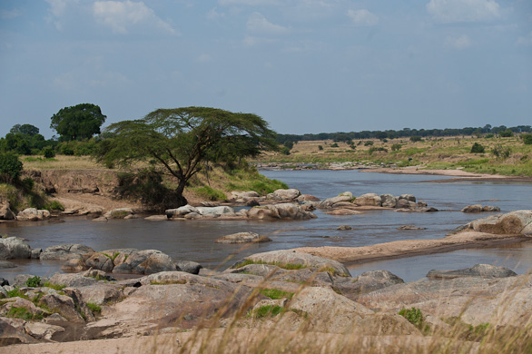 Serengeti Nationalpark, Tansania