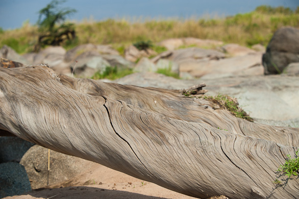 Serengeti Nationalpark, Tansania