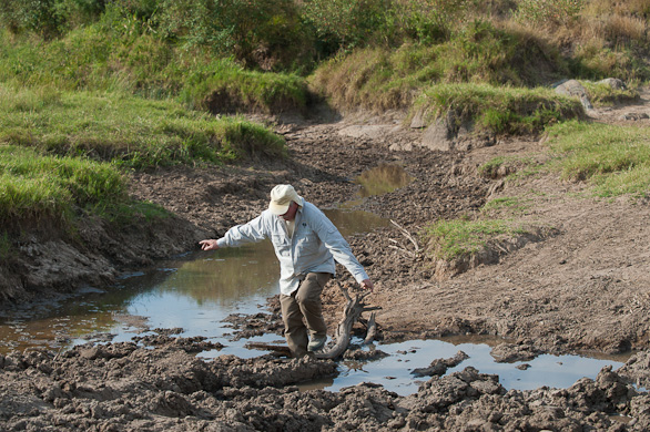Serengeti Nationalpark, Tansania