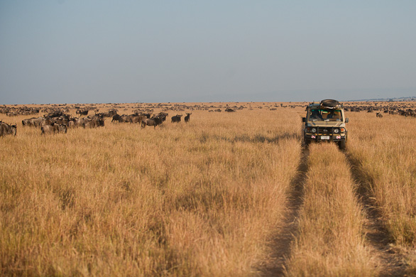 Serengeti Nationalpark, Tansania