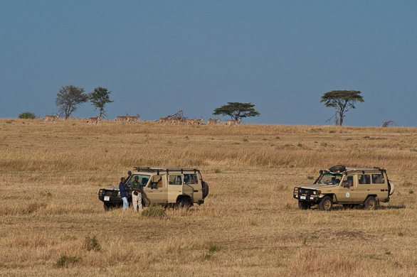 Serengeti Nationalpark, Tansania