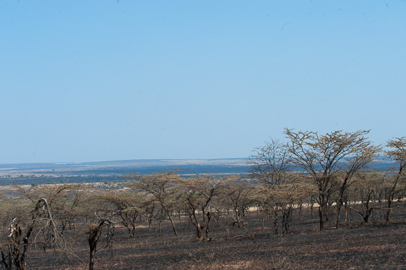 Serengeti Nationalpark, Tansania